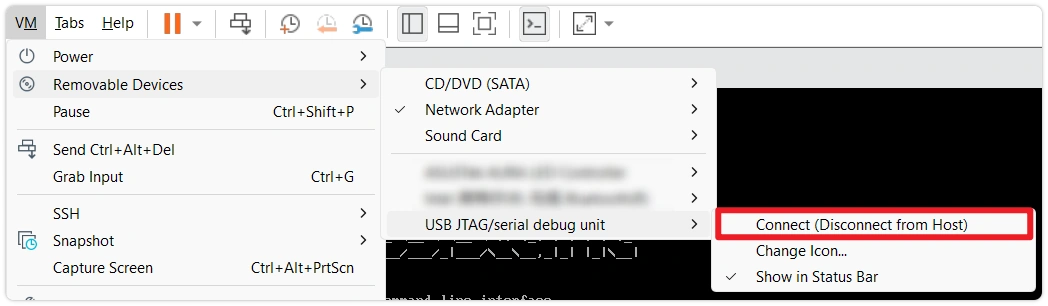 VMware USB Passthrough