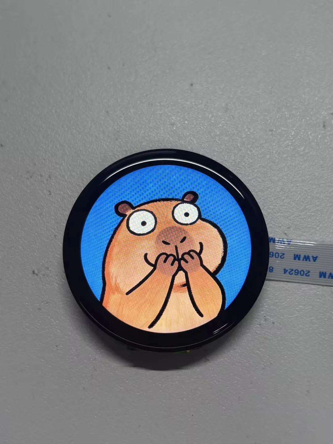 LVGL Image 1