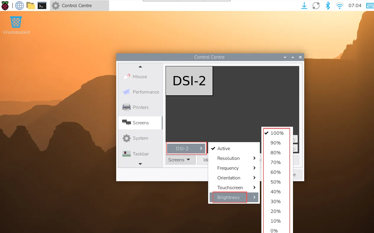 DSI Screen Brightness Adjustment GUI