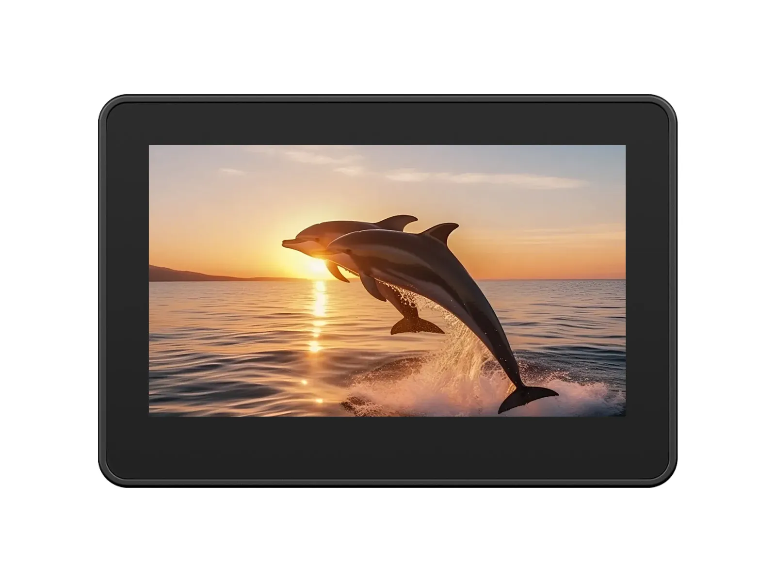 ESP32-S3-Touch-LCD-4.3C Product Example 1