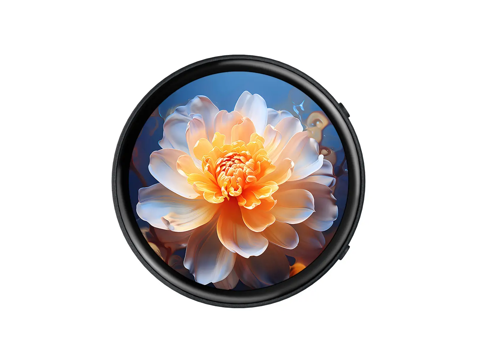 RP2350-Touch-AMOLED-1.75 Product Image