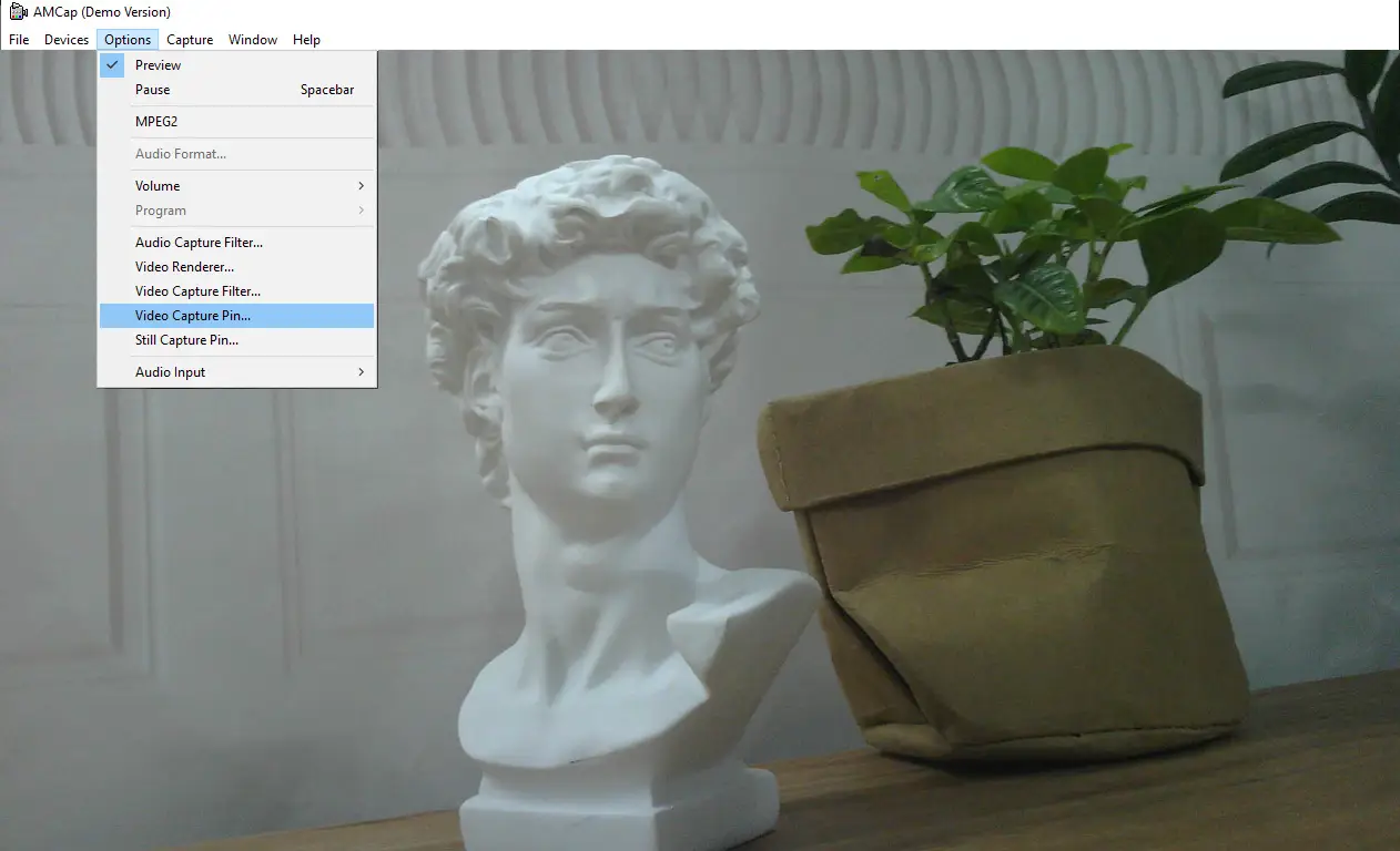 Amcap Software Preview